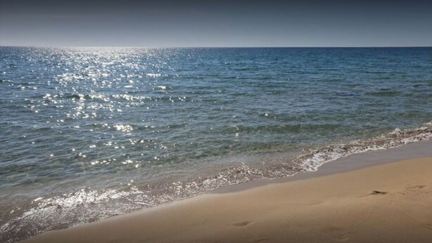 Une plage avec un rivage sablonneux et une eau calme.