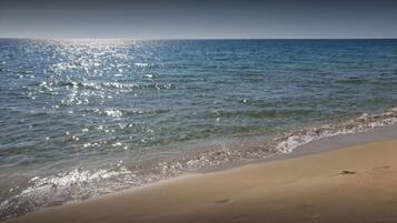 Una spiaggia con una battigia sabbiosa e acque calme.