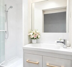 Shower, hair dryer, towels