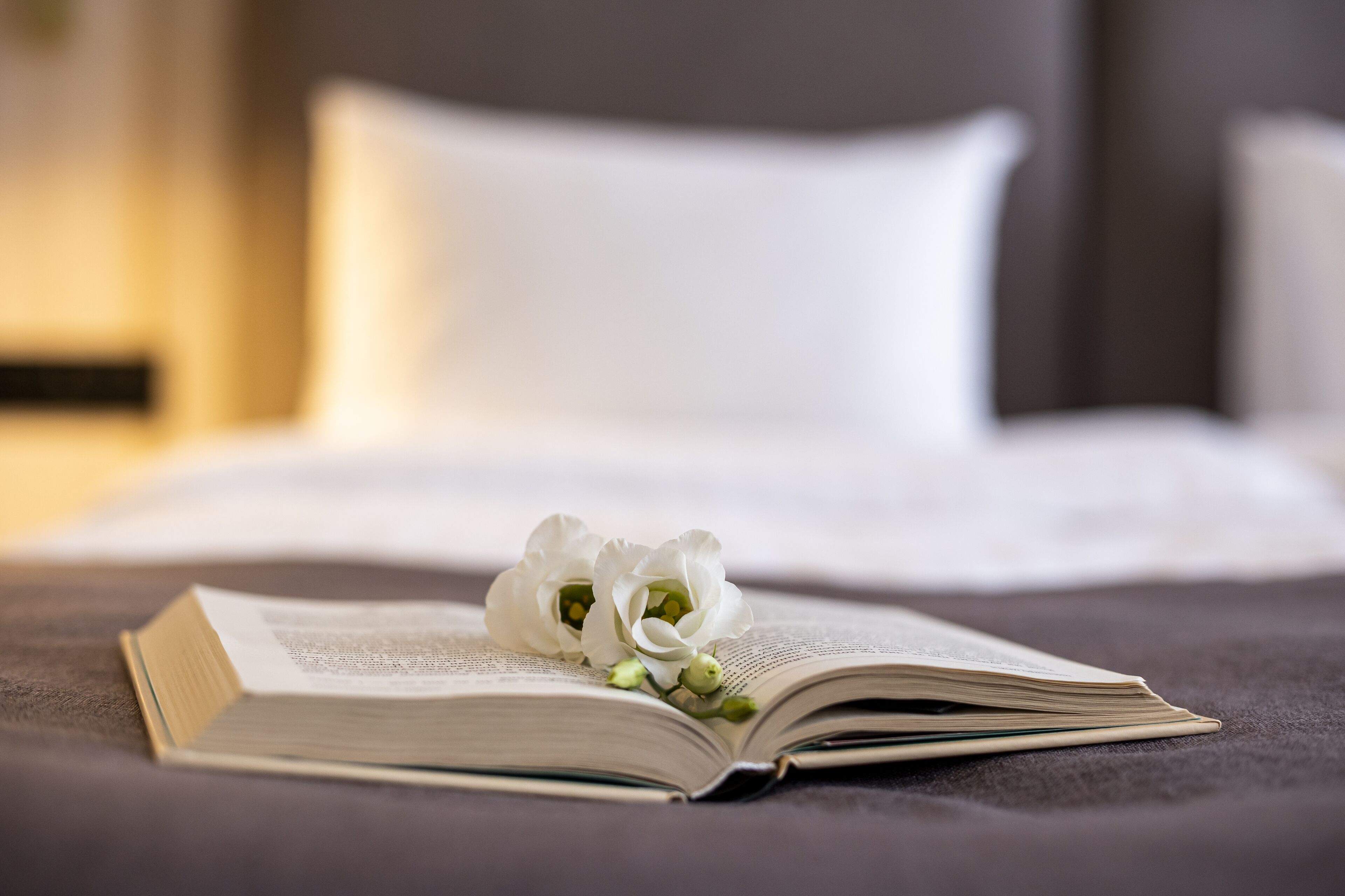 An open book on a bed with white flowers.