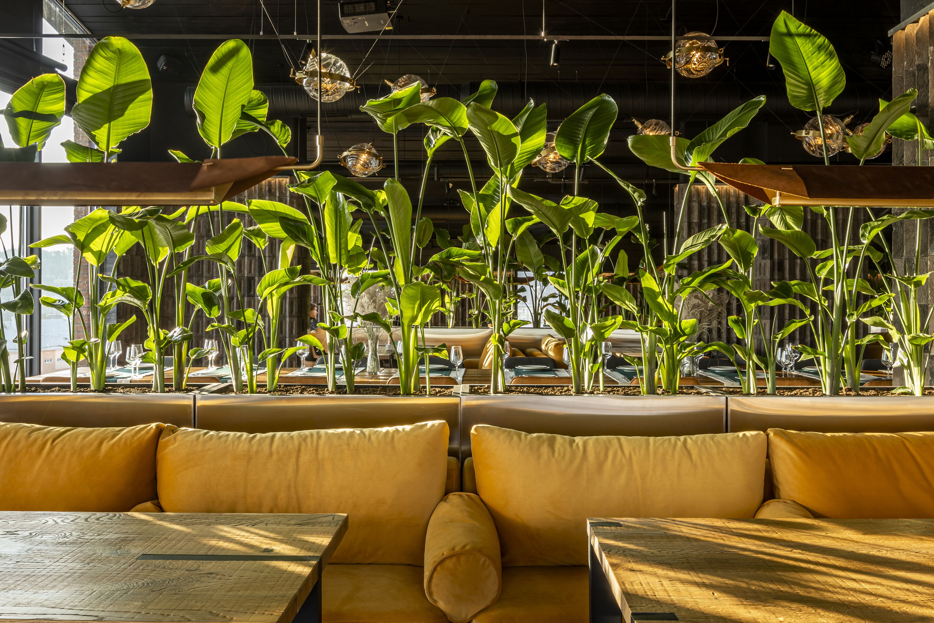 Un restaurante con techos altos, plantas colgantes y asientos acolchados amarillos.
