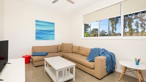 TV, video games, Netflix, DVD player