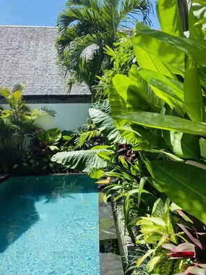 Outdoor pool - Luxury Private Loft, 2 BR, Canggu w/ Staff (Canggu)