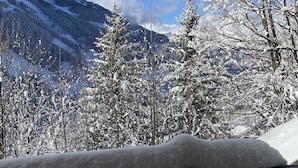 Un paysage de montagne enneigé sous un ciel dégagé.