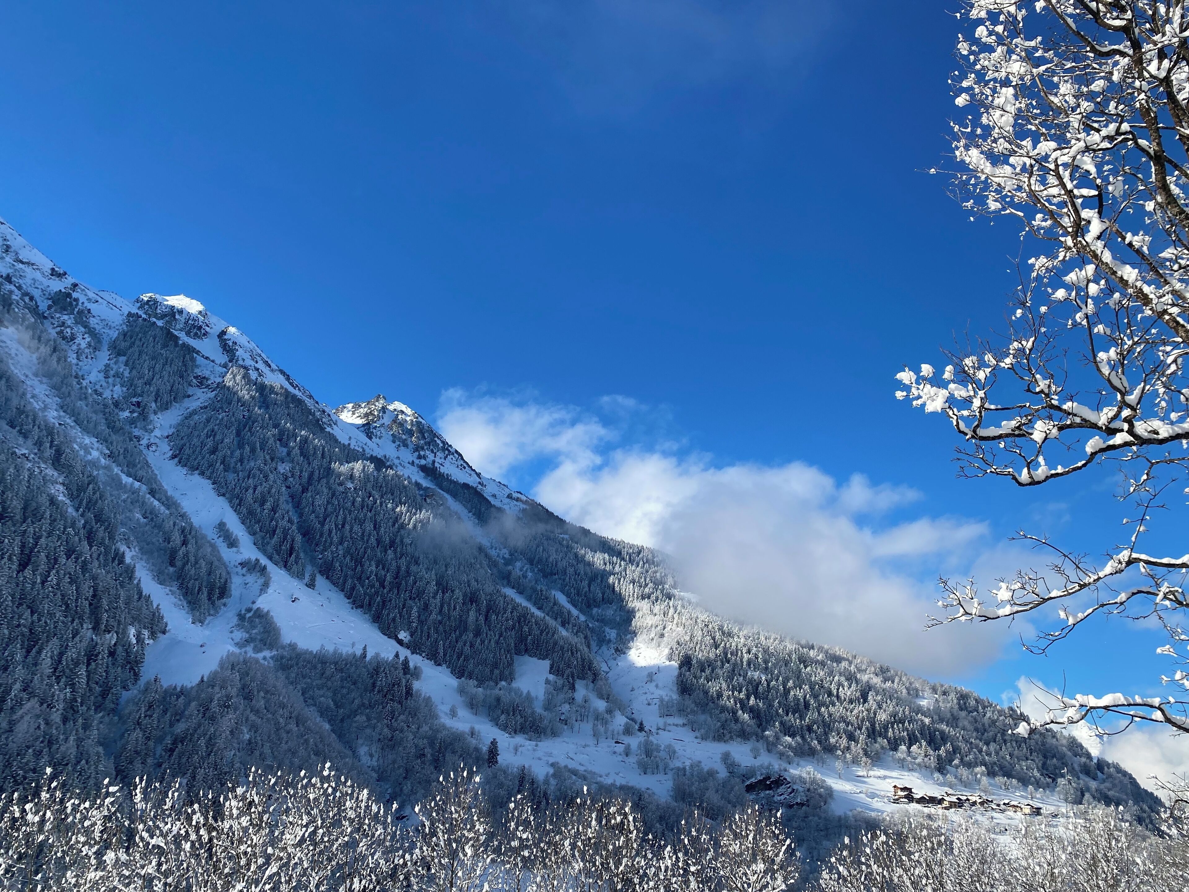 Eine gebirgige Landschaft mit schneebedeckten Bäumen und blauem Himmel.