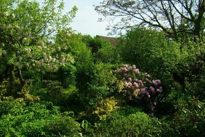 Unclassified image, 2 of 20, button