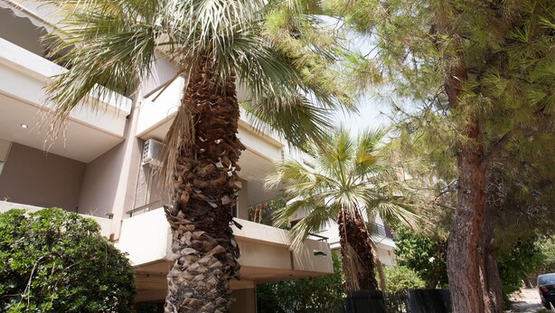 Un edificio con varios pisos, balcones y palmeras.