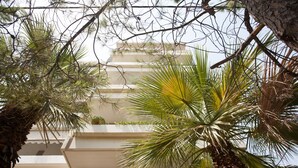 Vista de un edificio con varios balcones, rodeado de palmeras.