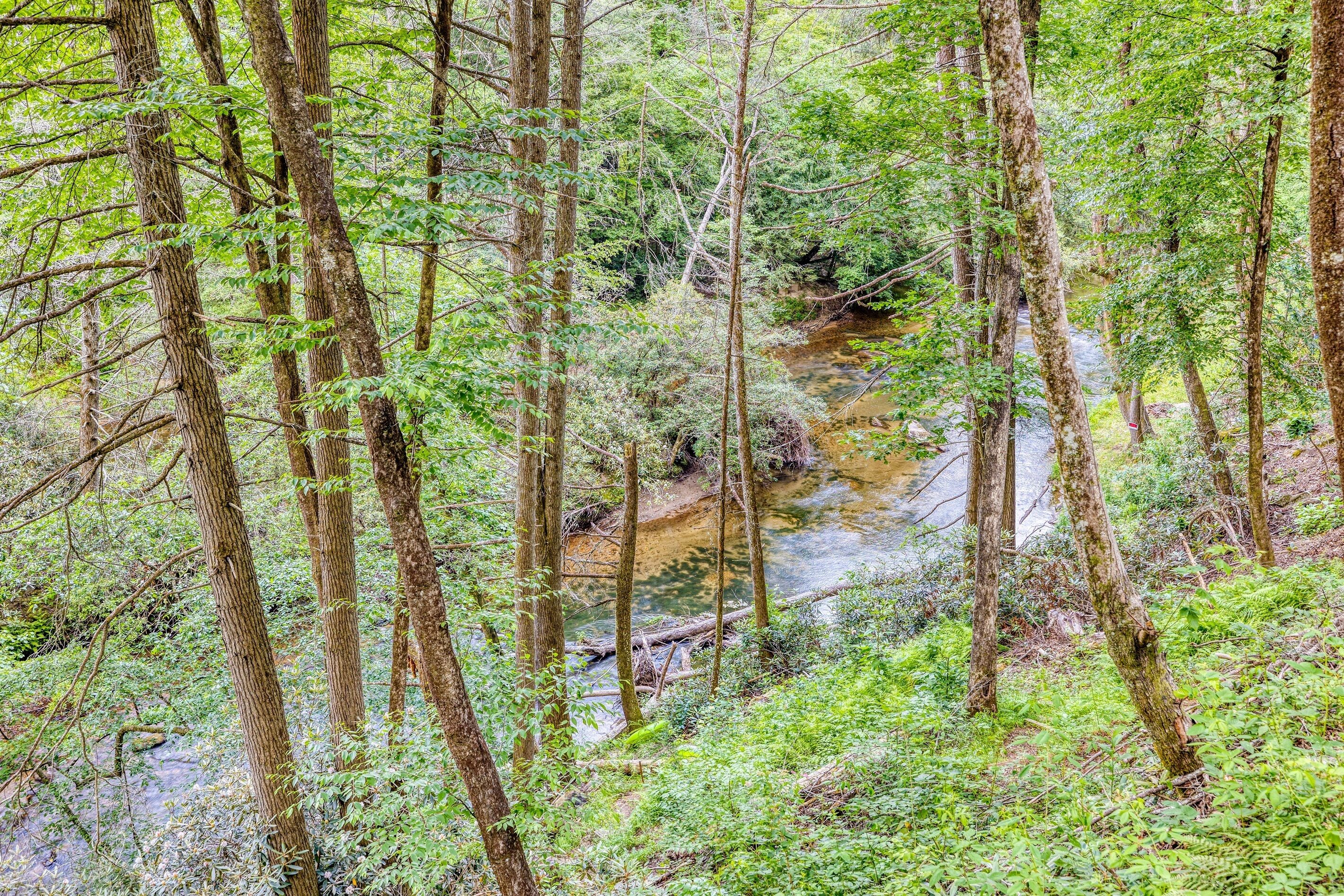 Creek view from detached creek deck