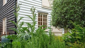 Un jardin avec différentes sortes de plantes et une maison avec un revêtement extérieur blanc et une fenêtre.