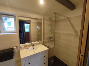Shower, towels, toilet paper