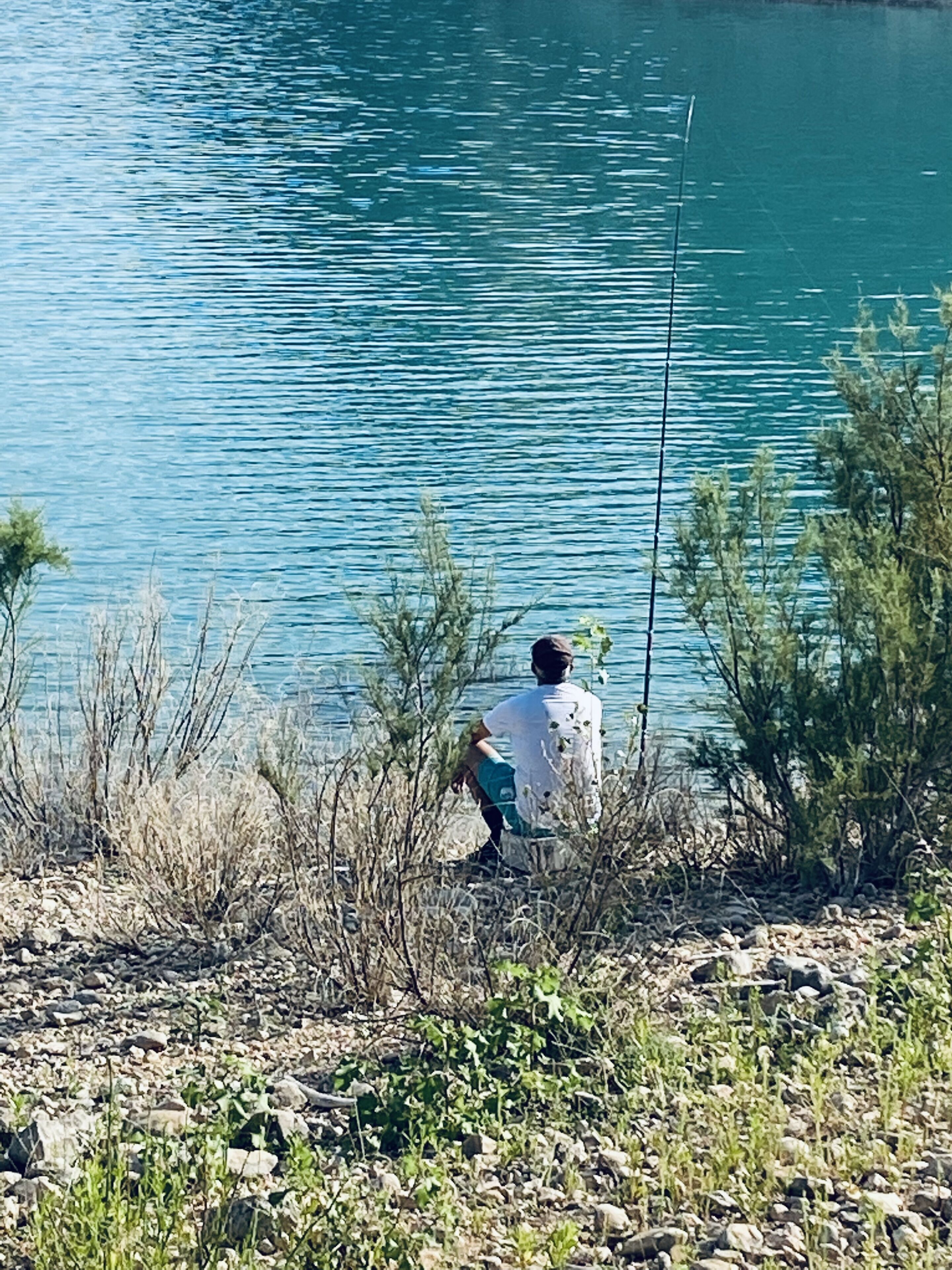 A person fishing by a calm lake with sparse vegetation and rocks around.