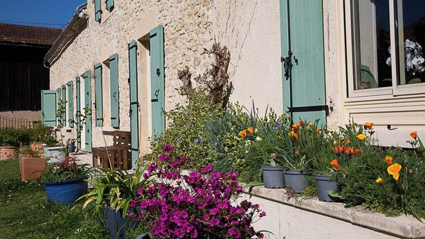A stone building with green shutters and potted plants in front. - Beautiful stone house with swimming pool in a protected nature setting (Pondaurat)