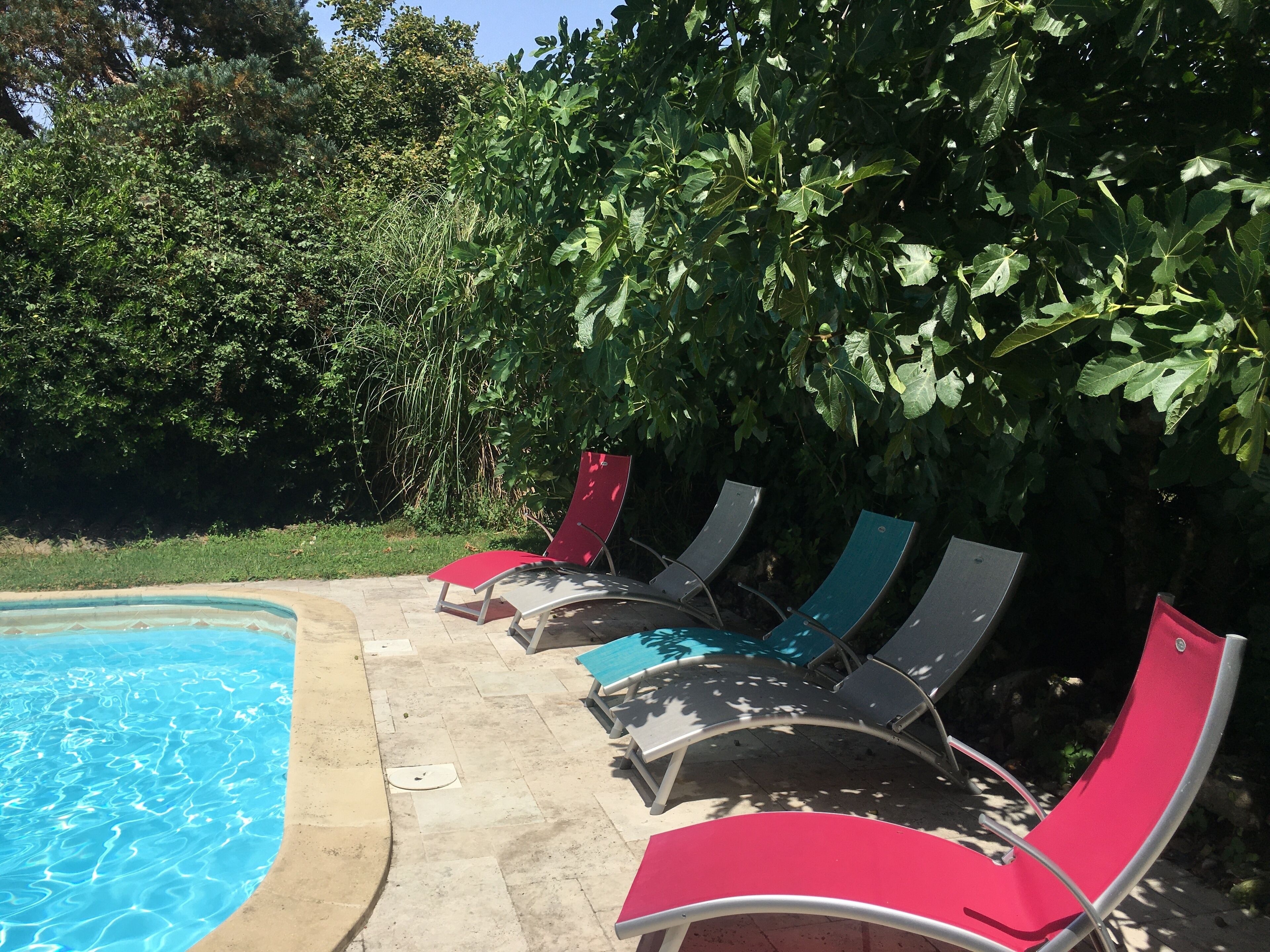 A poolside area with lounge chairs and a swimming pool.