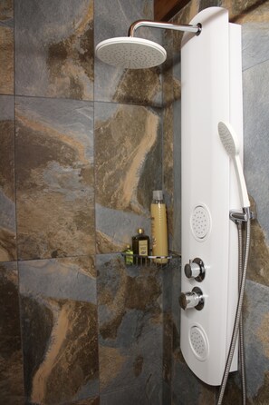 Shower, hair dryer, towels, soap