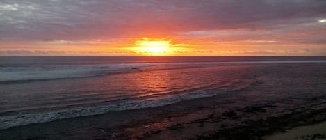 بالقرب من الشاطئ