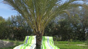 Una palmera con una tumbona verde y blanca debajo.