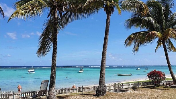 A beach with palm trees, a clear blue sky, and boats on the water.