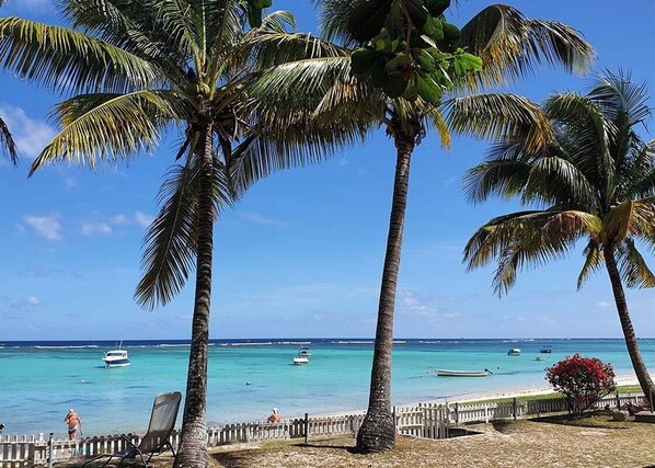 Enjoy a serene beach experience with turquoise waters, palm trees, and a picturesque view.