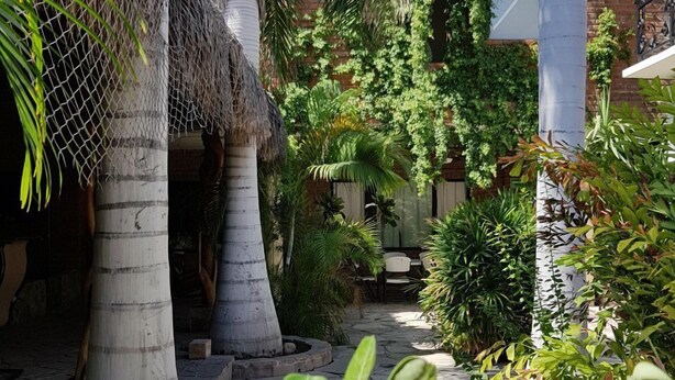 A courtyard with palm trees, a thatched roof structure, and a variety of plants. - Linda Propiedad de 5 Habitaciones (La Paz)