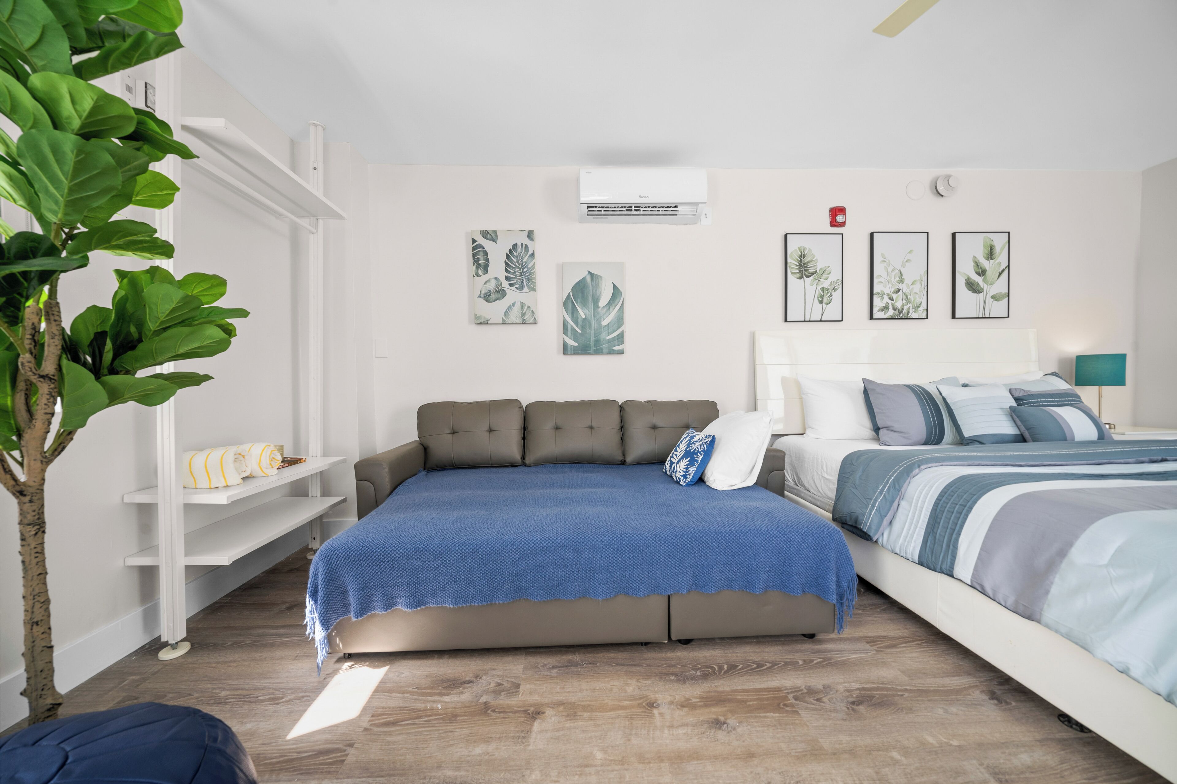 A modern bedroom with a sofa bed, a separate bed, and a plant.