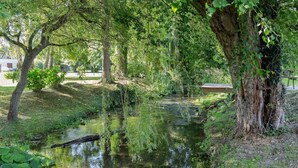 Un parc tranquil amb un petit rierol, arbres i una taula de pícnic.