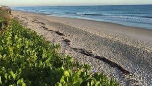 A beach with a clear sky, a sandy shore, and green vegetation in the foreground. - Country Club Beach Vacation (Vero Beach)