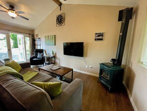 Smart TV, fireplace, books