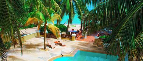 Zona de piscina con sillones de descanso y palmeras.