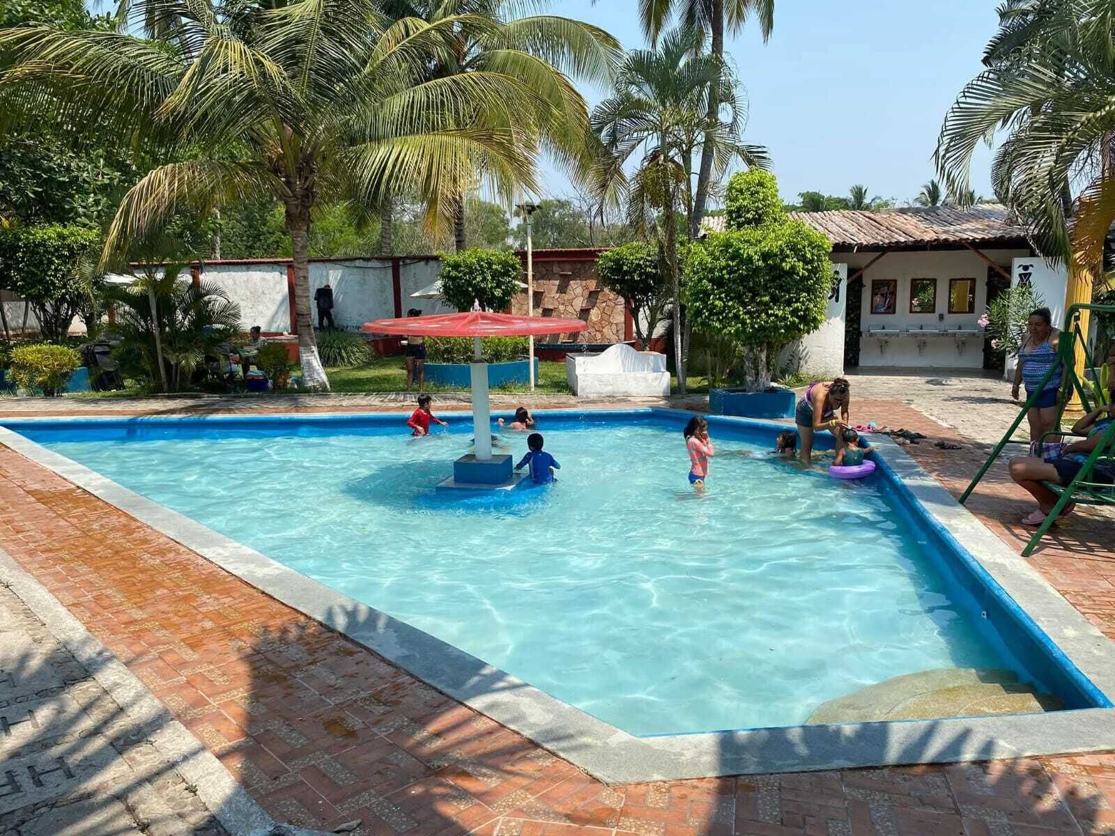 Une piscine à l’eau d’un bleu cristallin, entourée de palmiers et bordée d’un chemin en briques.