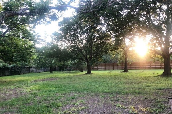 A grassy outdoor area with trees and a wooden fence.