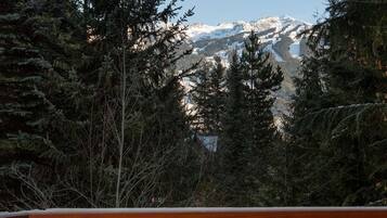 House, Multiple Beds (Luxury 5 Bedroom Blueberry Chalet) | Property grounds