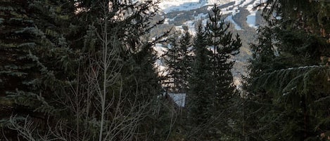 Maison, plusieurs lits (Luxury 5 Bedroom Blueberry Chalet) | Enceinte de l’hébergement