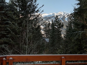 Maison, plusieurs lits (Luxury 5 Bedroom Blueberry Chalet) | Enceinte de lâhĂ©bergement