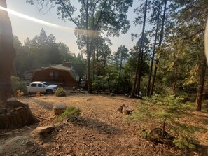 Property grounds - Majestic Basque Chalet (Wofford Heights)