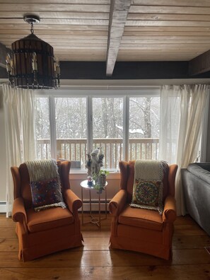 Smart TV, fireplace, video games, Netflix