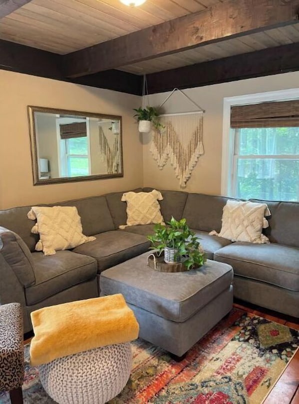 Smart TV, fireplace, video games, Netflix