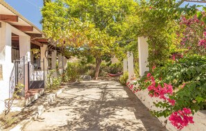 Un sentier étroit et ensoleillé, bordé d’une végétation luxuriante et de plantes en fleurs, mène à un bâtiment doté d’un porche abrité.