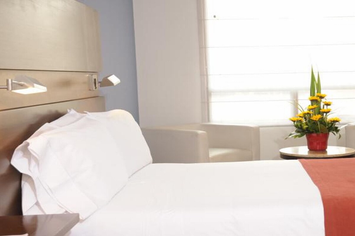 Habitación de hotel con cama, dos sillones, una mesita con planta en maceta y ventana con persianas.