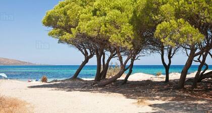 Relaxation Veranda by the Sea Beach 250mt