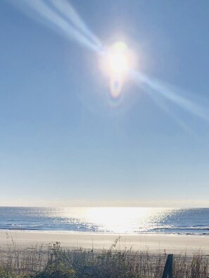 On the beach