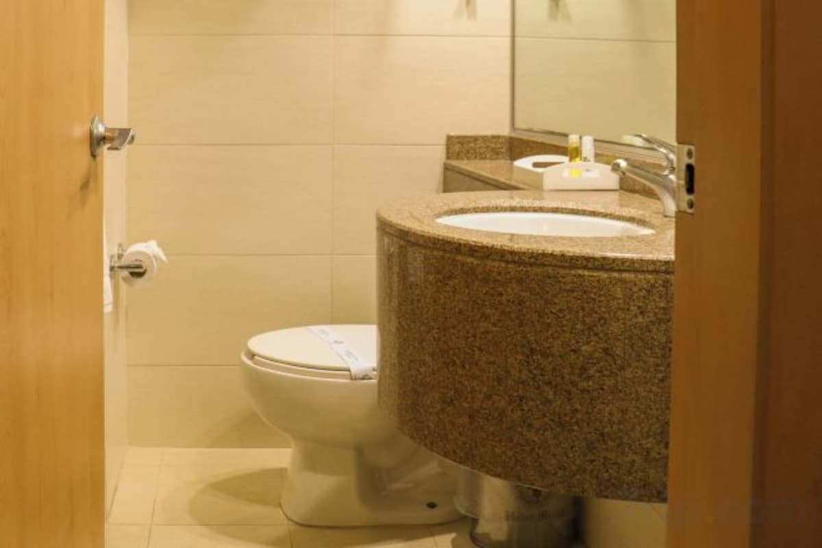 Ducha, cabezal de ducha tipo lluvia, secador de pelo, toallas