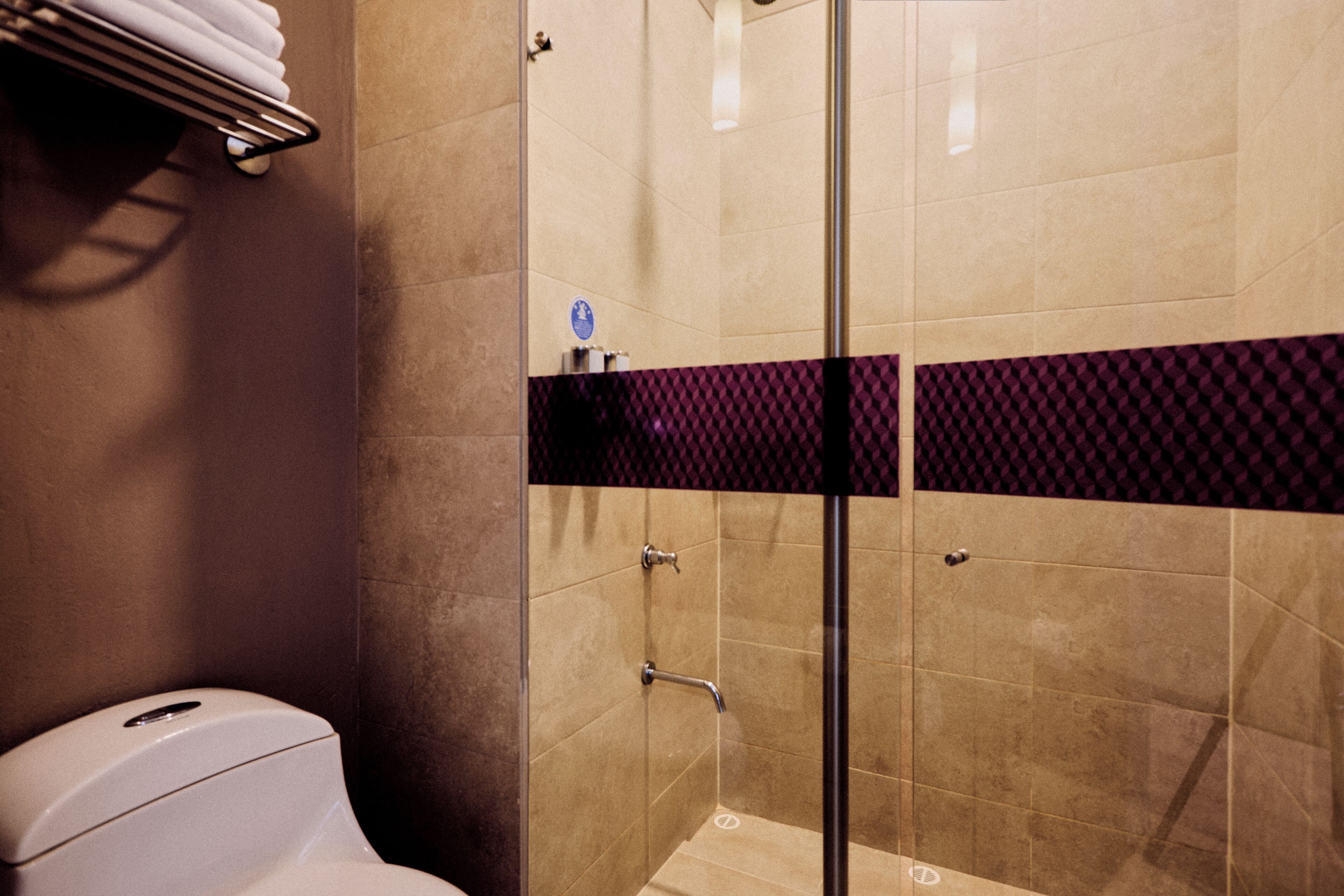 A bathroom with a glass shower enclosure, a toilet, and a towel rack.