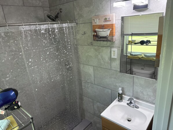 Une salle de bain avec une douche, un lavabo et un miroir.