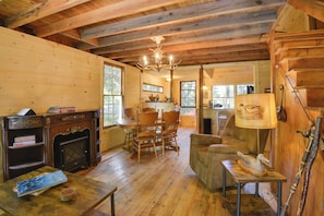 TV, fireplace, books