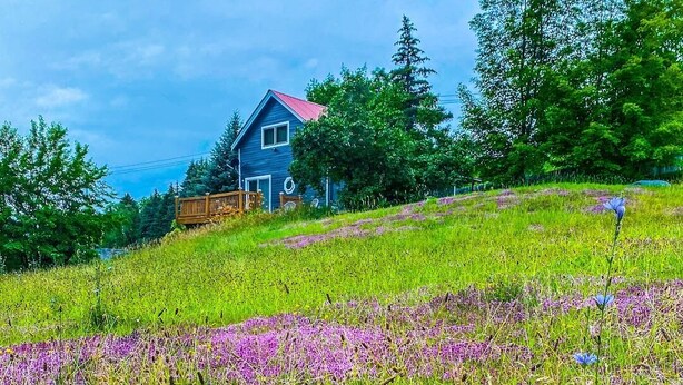 A house with a red roof on a grassy hill. - Cozy Adirondack Loft Near Lake Champlain & George, Hiking and Historical Sites (Ticonderoga)