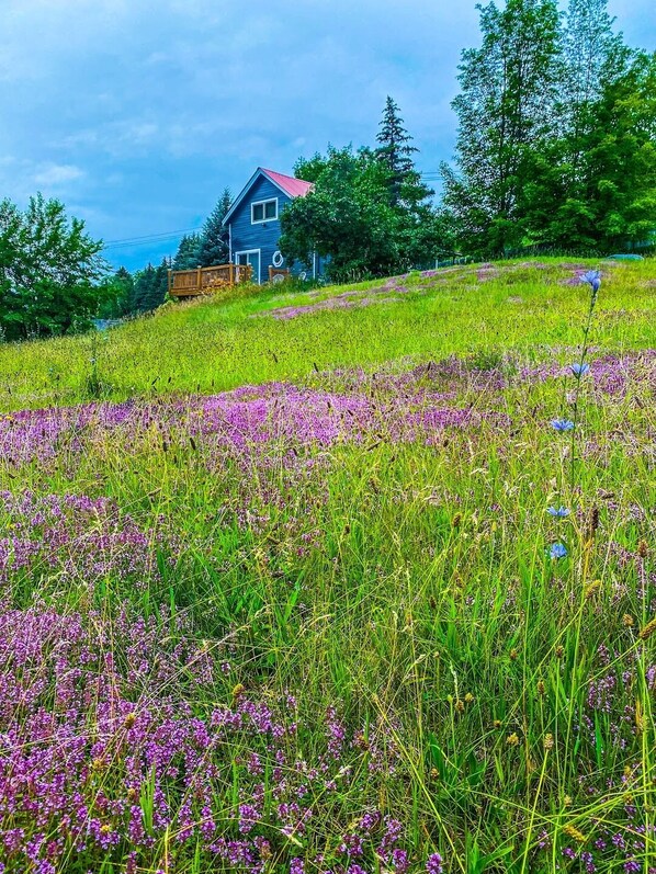 A house with a red roof on a grassy hill.