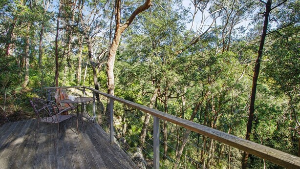 A wooden deck with metal railings, surrounded by dense forest. - HILLDO - Beautiful home set amongst the tree  - SPECIALS ON NOW ! (Kurrajong Heights)