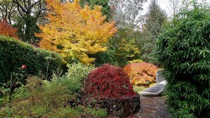 Um jardim com caminho de pedra, arbustos variados e árvores em tons de outono.