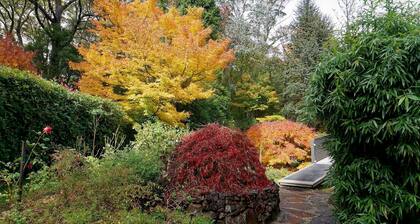 TREE TOPS - stunning sunsets, serene location. SPECIALS ON NOW !